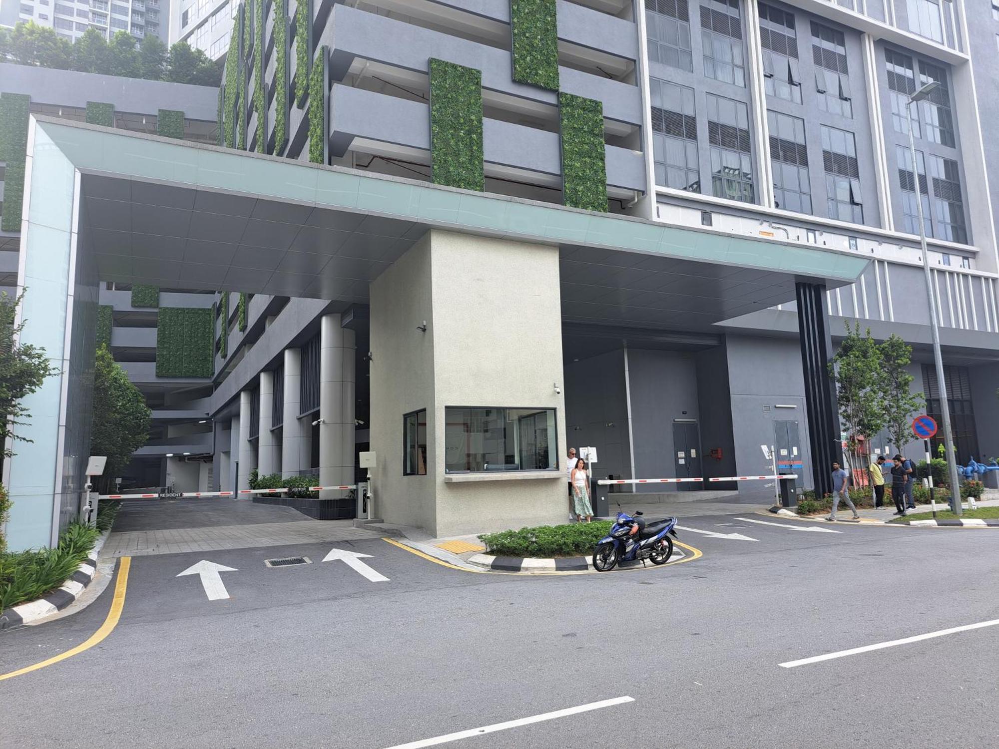 Agile Marigold Kl